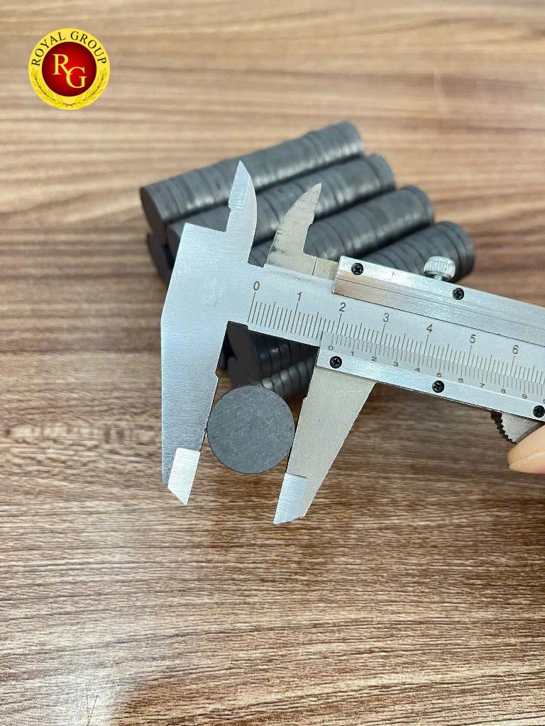 Nam châm Ferrite 20x3mm - Ảnh 3